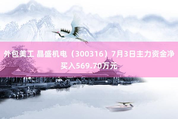 外包美工 晶盛机电（300316）7月3日主力资金净买入569.70万元