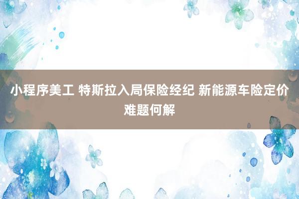 小程序美工 特斯拉入局保险经纪 新能源车险定价难题何解