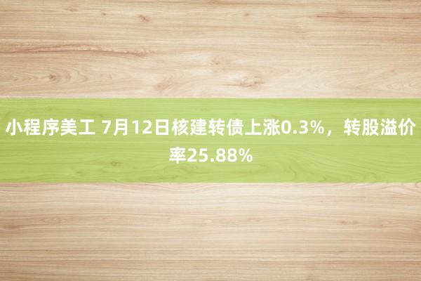 小程序美工 7月12日核建转债上涨0.3%，转股溢价率25.88%